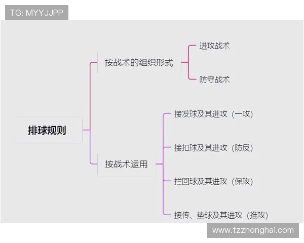 南京排球队战术对比深度解析与未来发展趋势探讨
